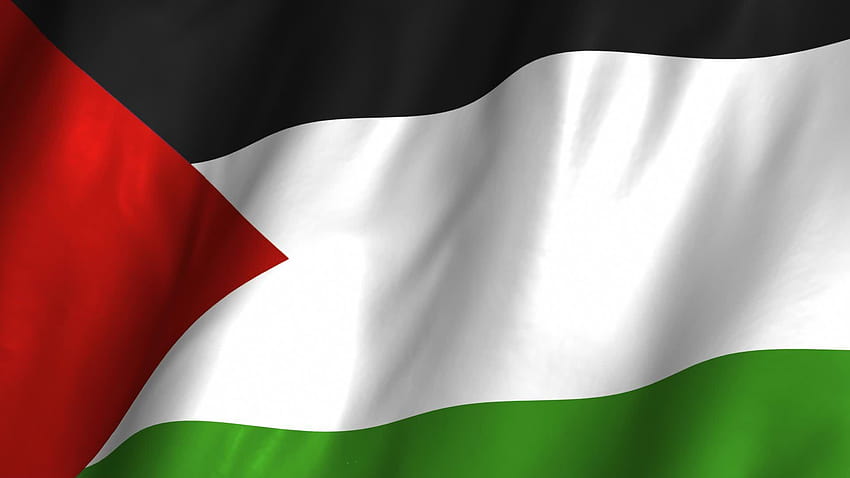 Palastine Waving Flag ~ Stock Video, background palestine flag HD wallpaper