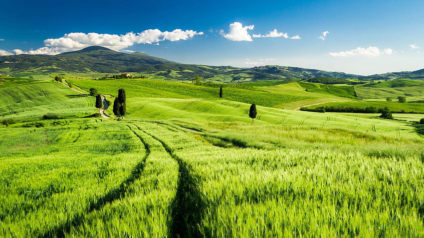 Tuscany, Italy, green fields, spring 2560x1440 Q, italy spring HD wallpaper