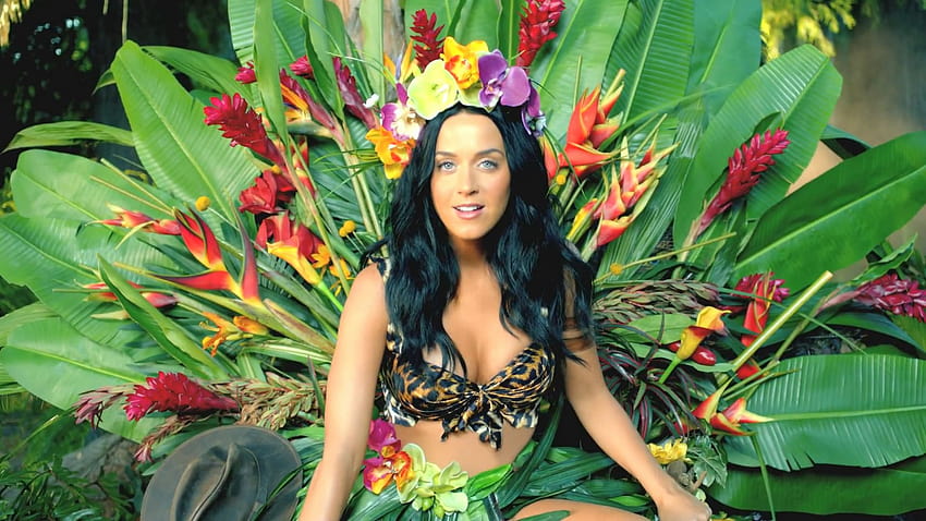 4 Katy Perry Roar HD wallpaper 4 Katy Perry Roar HD wallpaper