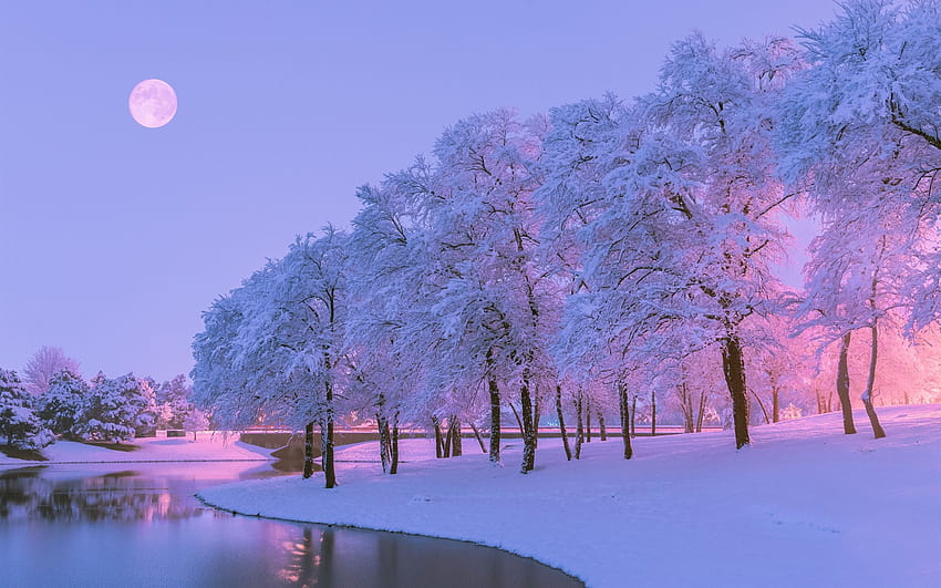 Güzel Kış, Kar, Ağaçlar, Nehir, Ay, güzel kış ağaçları HD duvar kağıdı