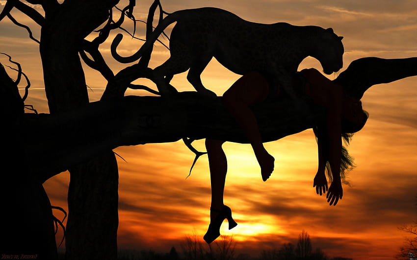 Animals cats dark horror scary creepy macabre situations mood women, sunrise in africa HD wallpaper