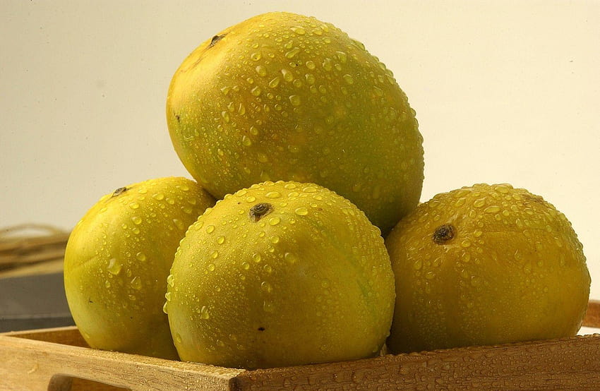 Mango is popularly known as one of the most nourishing, delicious, alphonso mango HD wallpaper