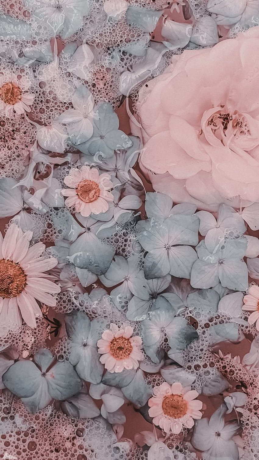 Jenny Lampa em Обои для телефона, floral estético Papel de parede de celular HD