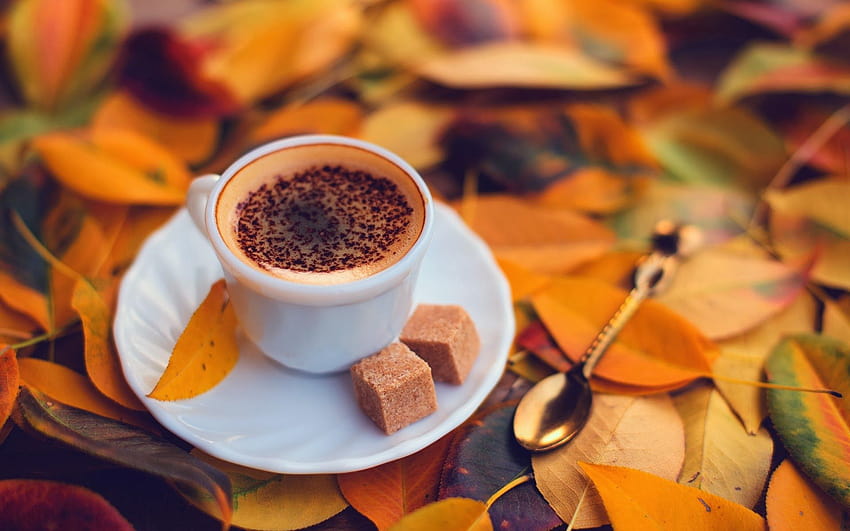 Coffee With Yellow Autumn Leaves, autumn cup HD wallpaper