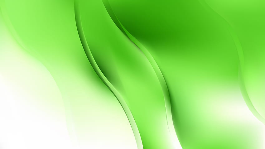 Green and White Abstract Curve Backgrounds Vector Art, green vector HD wallpaper