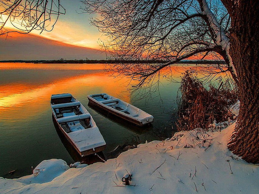 ทะเลสาบ: Safe Harbor Serenity Lake Painting Boat สาขาฤดูหนาว สถานที่เงียบสงบ วอลล์เปเปอร์ HD