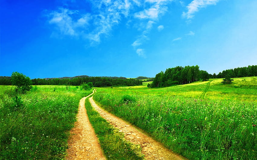 Najpiękniejsza naturalna ścieżka Zielona trawa Naturalne miejsce, letni kraj Tapeta HD