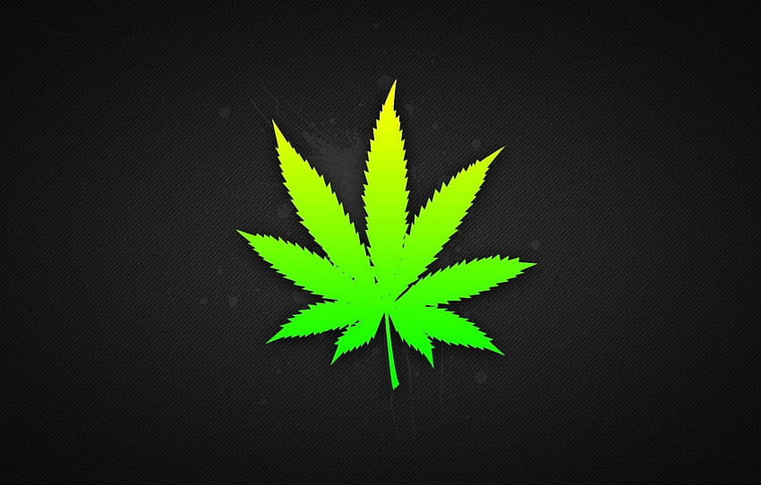 roślina, konopie, marihuana, narkotyk, kannabinol, trafka Tapeta HD