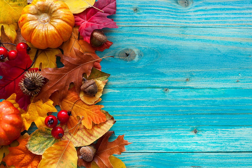 Fall Leaves, falling leaves HD wallpaper | Pxfuel