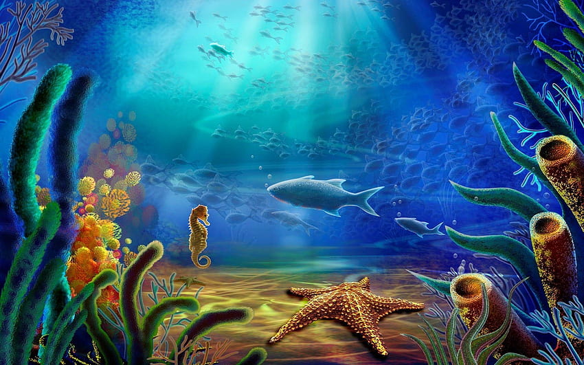 Подводен живот, живот под вода HD тапет