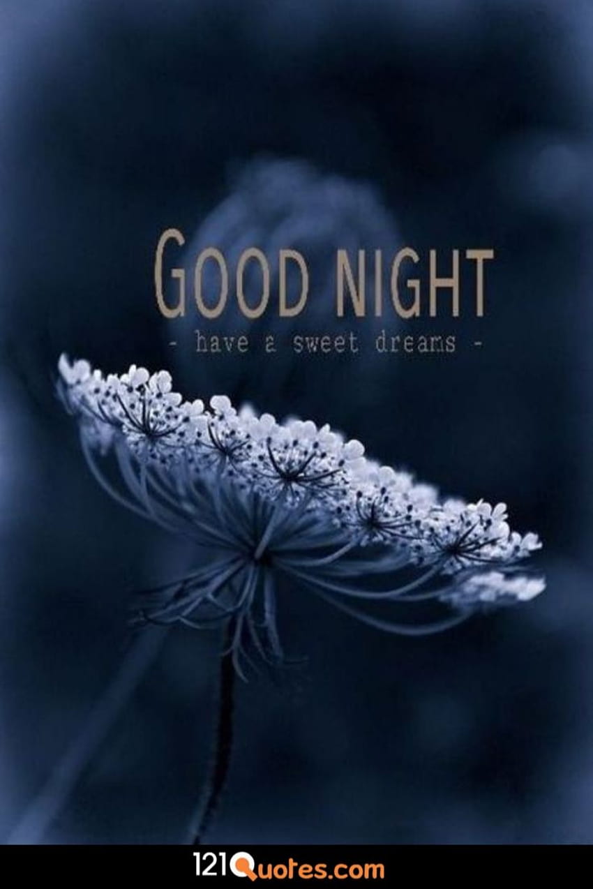 50 Beautiful Good Night [ Best ], sleep well HD phone wallpaper