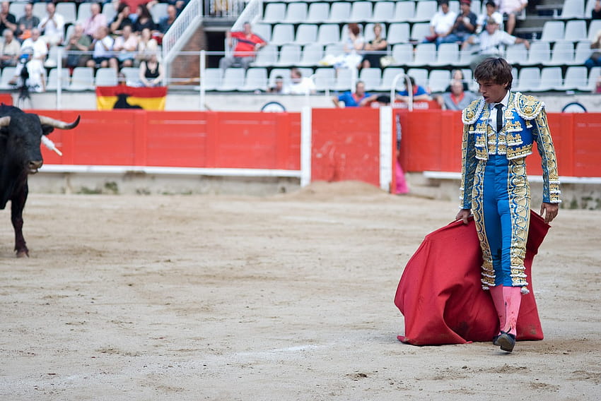 Torero Arena Spanish, bullfighter HD wallpaper