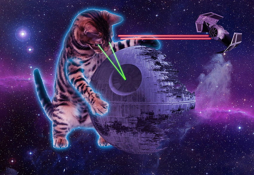Cats in Space HD wallpaper