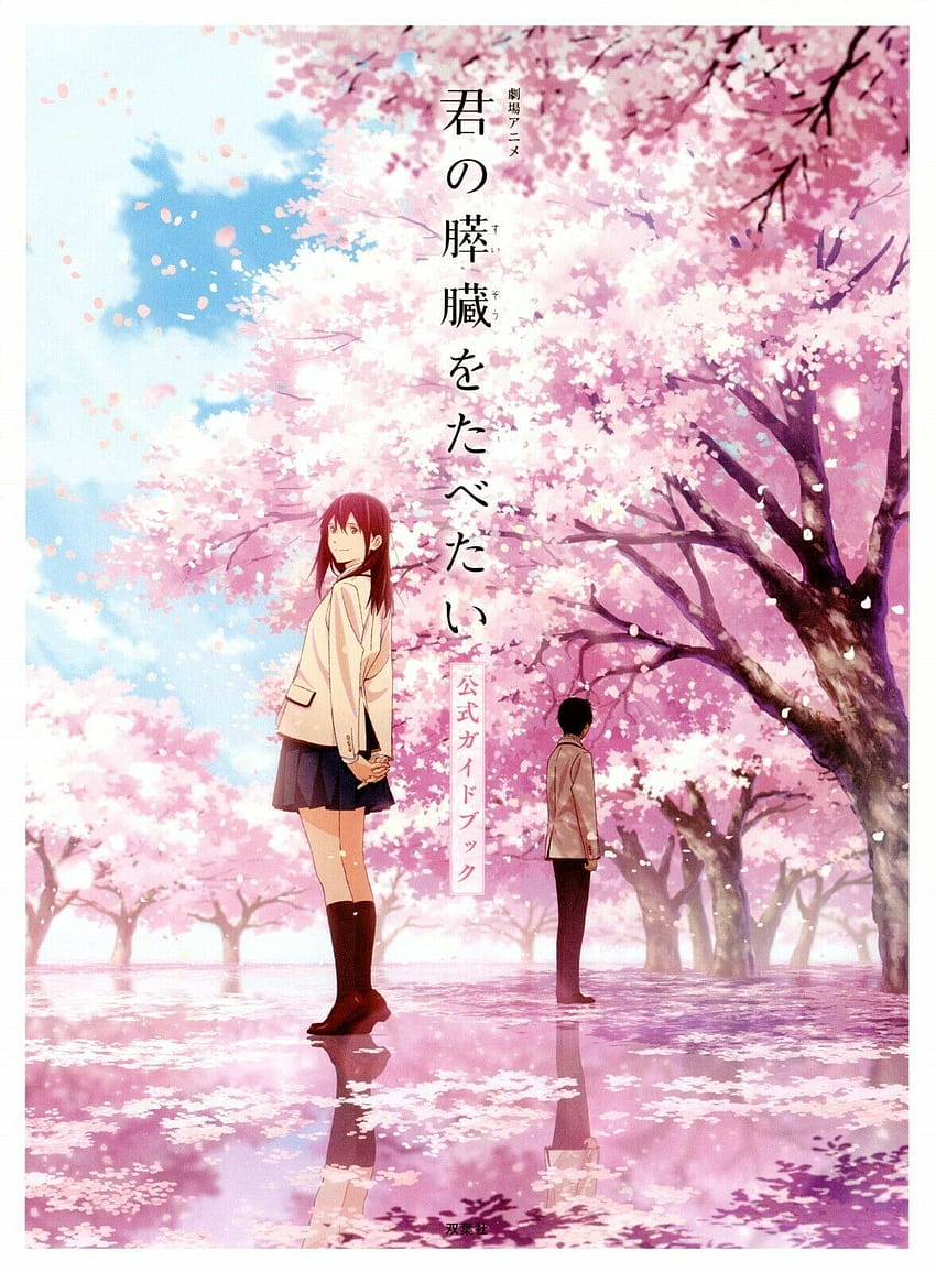 I Want To Eat Your Pancreas posted by Ryan Simpson, i want to eat your pancreas mobile HD phone wallpaper