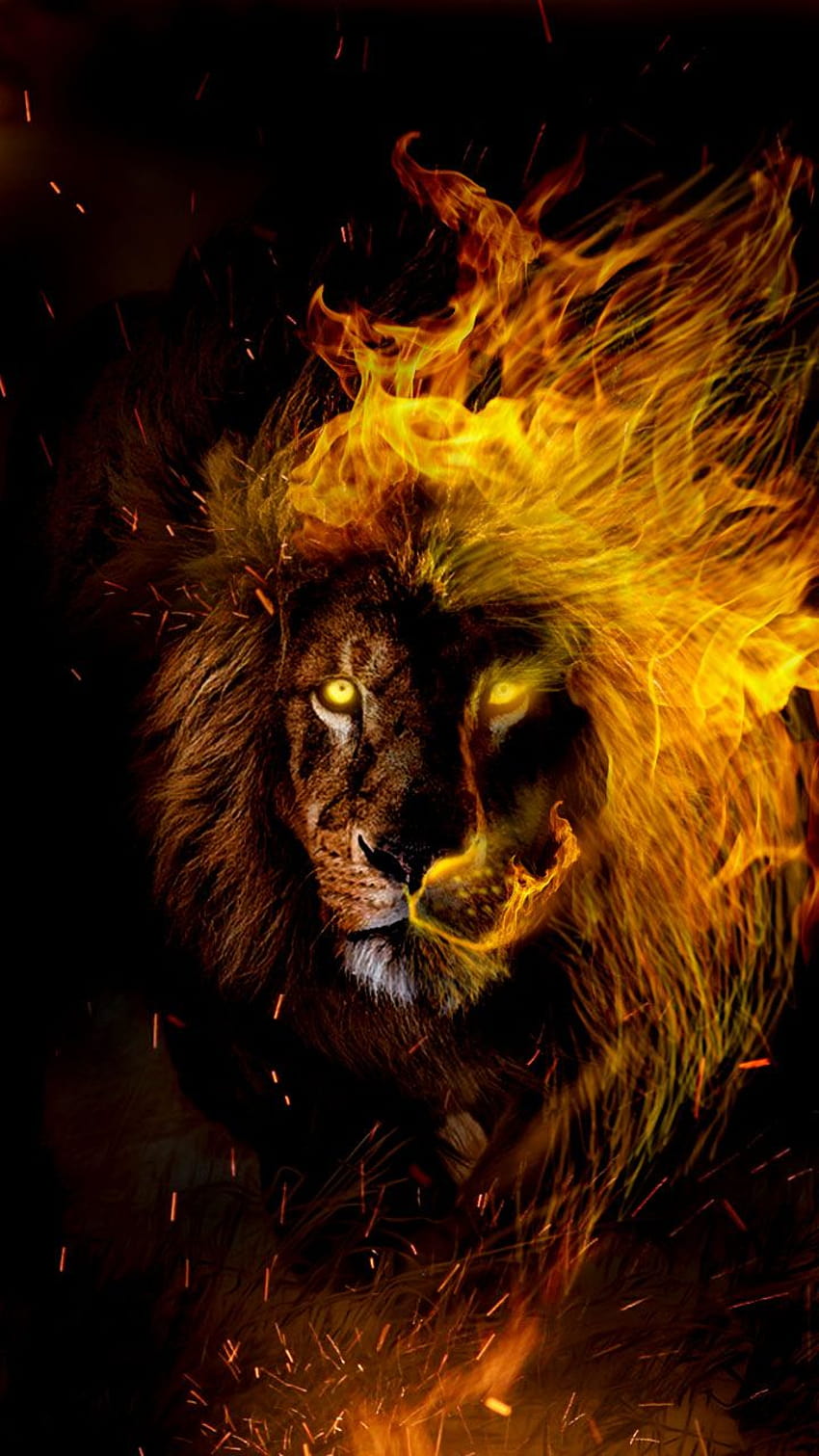 Leo in flames. Lion for the Leo zodiac lovers. Get your star sign for yourself., leo the lion HD phone wallpaper