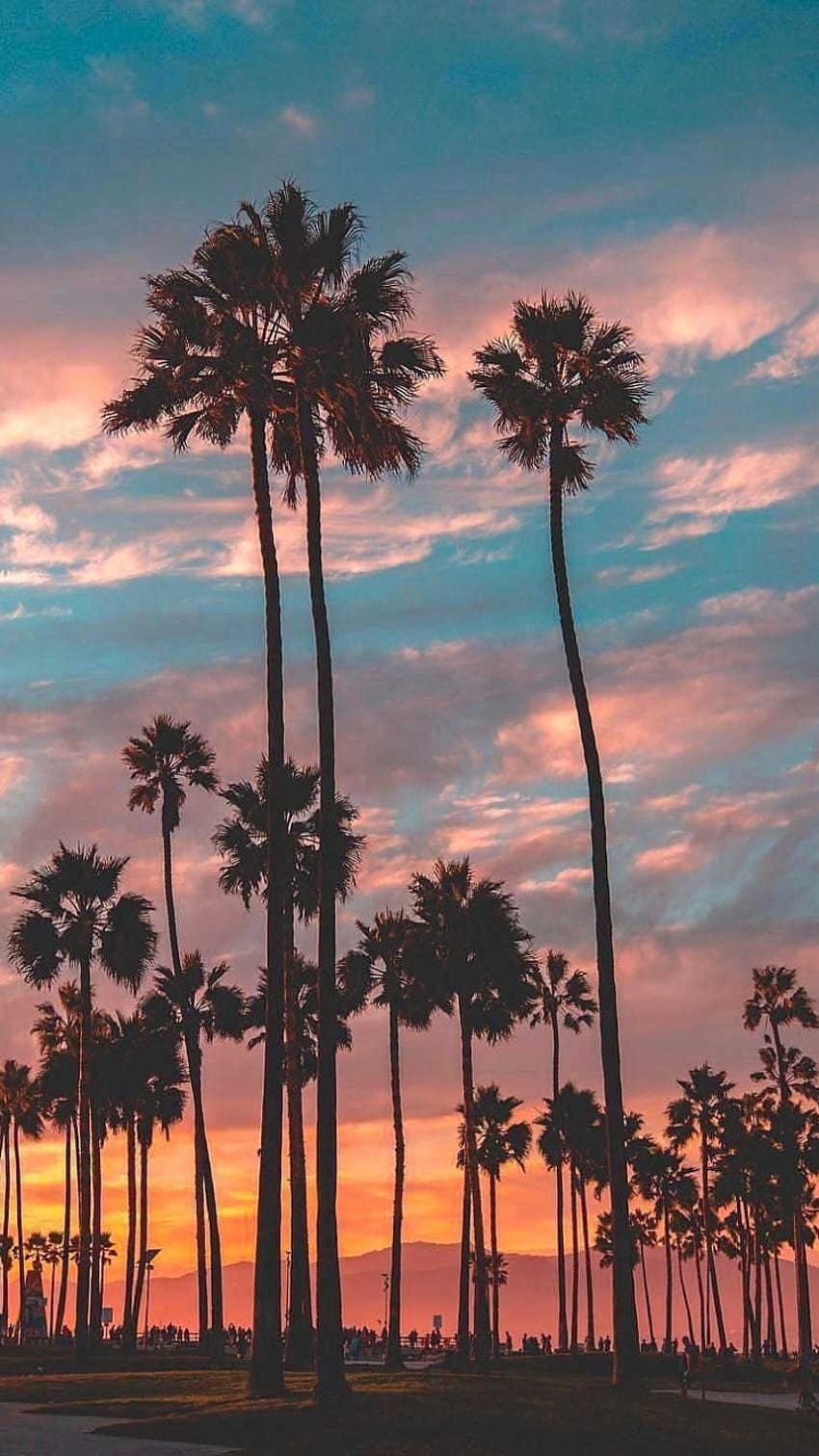 Los Angeles sunset at Travel Nature Vacation [1080x1349] for your , Mobile & Tablet HD phone wallpaper