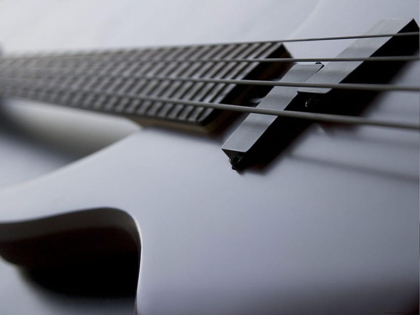 7 Bass Guitar, bassist HD wallpaper | Pxfuel