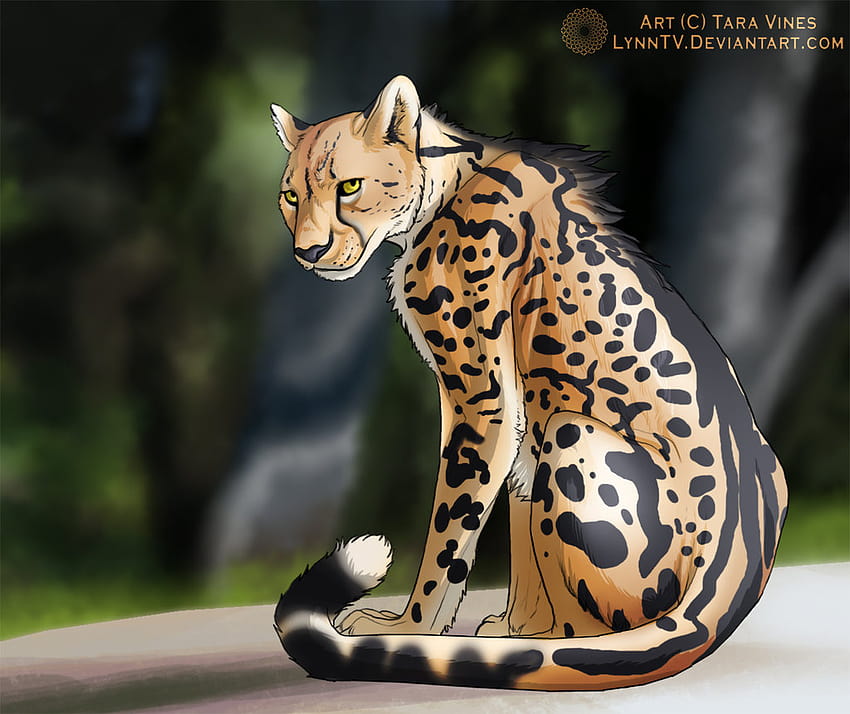 King Cheetah by faithandfreedom on DeviantArt | Big cats art, Animal  drawings, Cute animal drawings