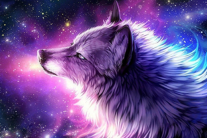 Psy: Love Art Four Pre Animals Digital Draw Wolf Paint Creative, galaxy wolf Tapeta HD