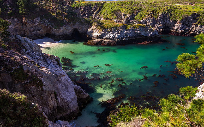 USA Point Lobos State Park Nature Parks 3840x2400, point state park HD wallpaper