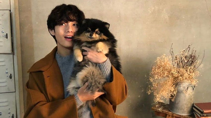 BTS V aka Kim Taehyung Looks Handsome in Layover Concept Pics, K-Pop Idol  Shares Cute Pics With His Dog Yeontan | 👗 LatestLY