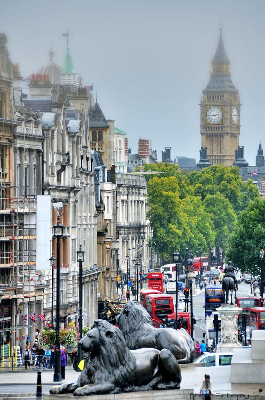 Leones de Londres en Trafalgar Square fondo de pantalla del teléfono |  Pxfuel