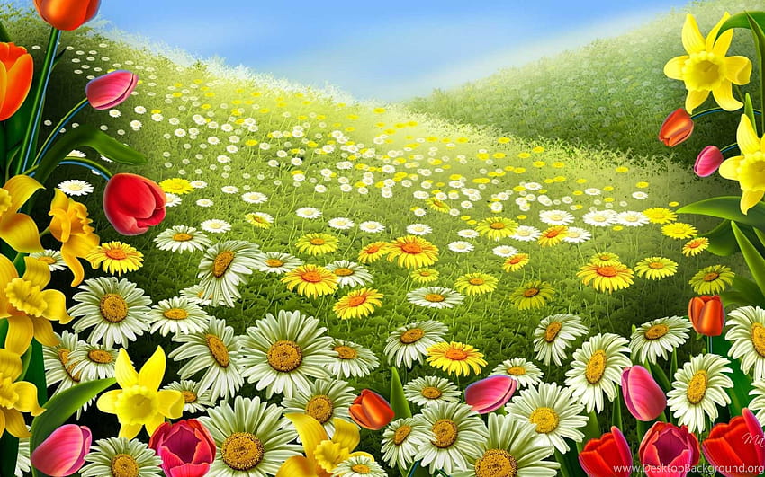 Taman Bunga Untuk Latar Belakang Berkualitas Tinggi, taman kartun Wallpaper HD