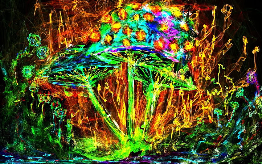 : painting, mushroom, jungle, ART, light, flower, fractal art, psychedelic art 1280x800, mixed colors fractal flowers art HD wallpaper
