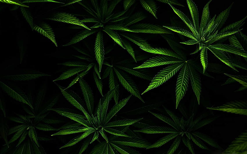 The Weed Mac, hoja de marihuana fondo de pantalla