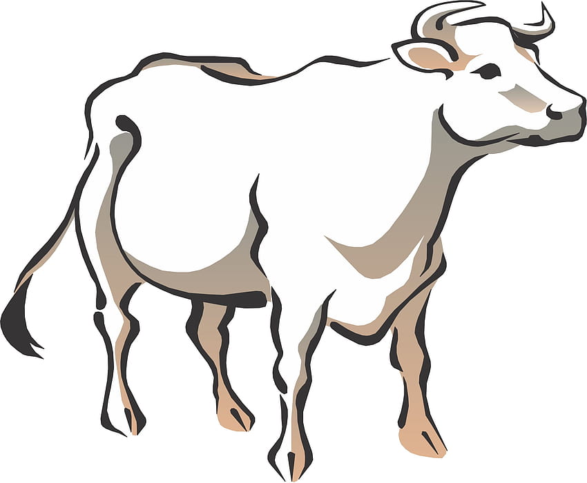 Kreskówka krowy, krowy kreskówek Tapeta HD