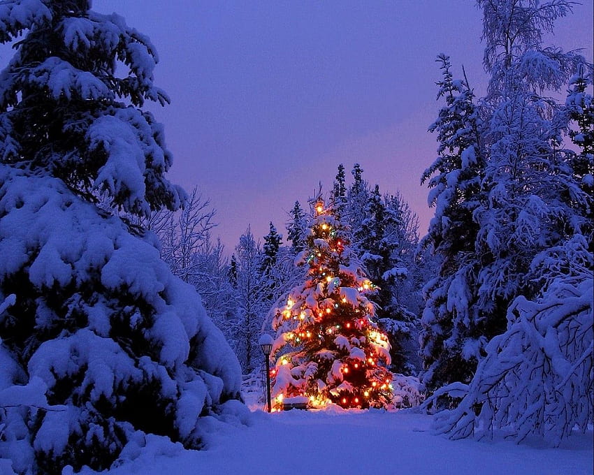 1280x1024 christmas trees, garland, snow, park, party, new year ...