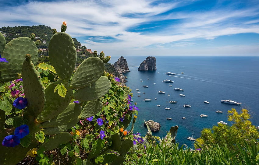 sea, summer, flowers, yachts, cactus, Italy, Capri HD wallpaper