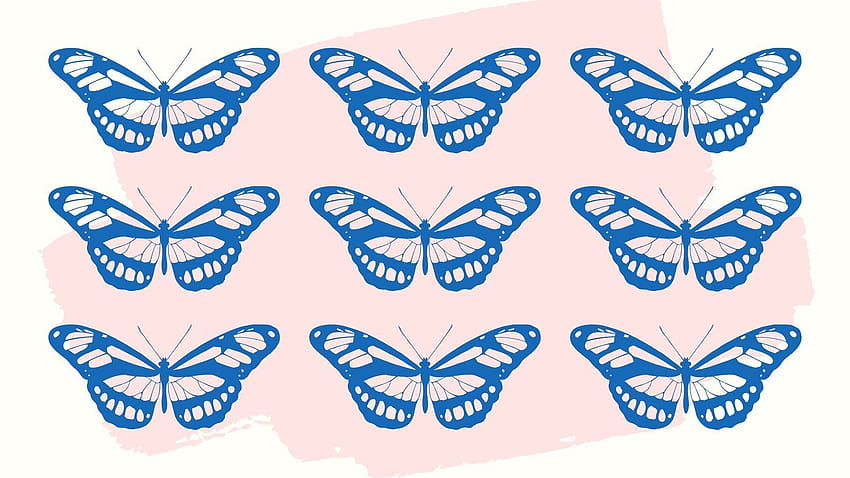 Niebieski i różowy motyl, estetyka laptopa motyla Tapeta HD