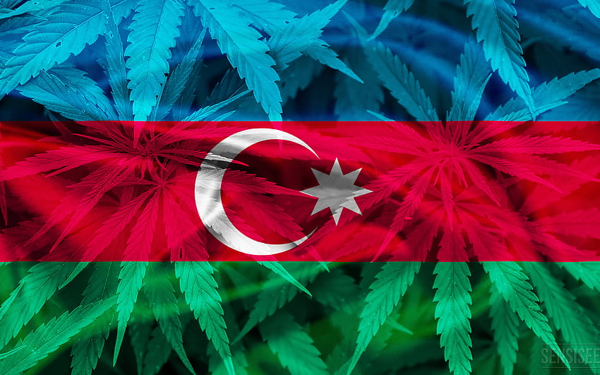 2560x1600 Of Azerbaijan, Cannabis In Azerbaijan, Cannabis, azerbaijan flag HD wallpaper