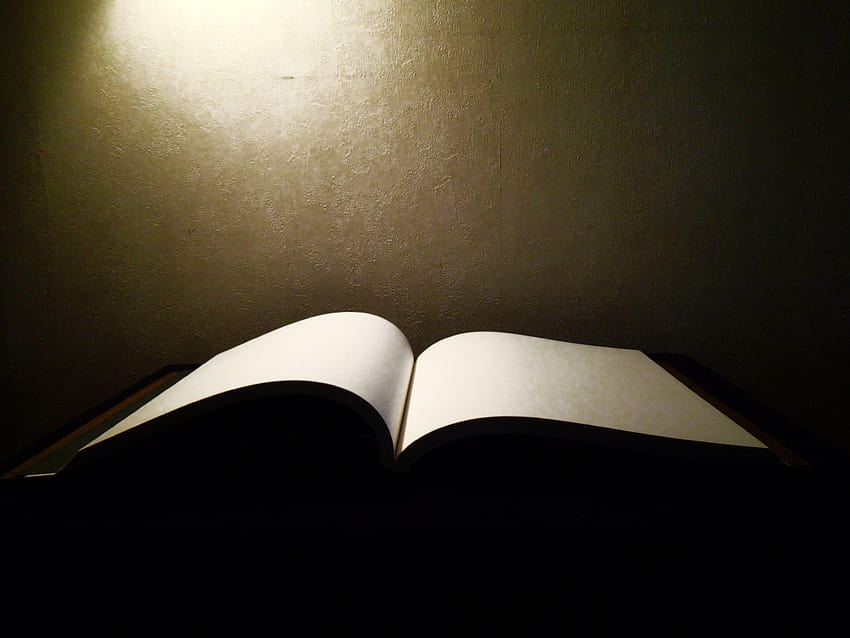 Gambar : Book, sayap, cahaya, putih, kegelapan, hitam, satu warna, kosong HD wallpaper