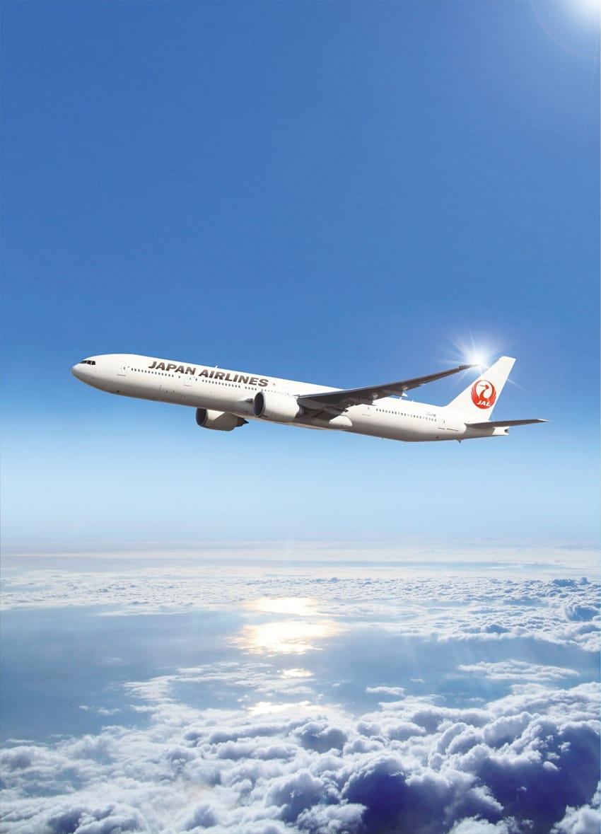 Jakie jest znaczenie Ikigai? Japan Airlines dzieli się sekretem osiągnięcia pełniejszego życia Tapeta na telefon HD