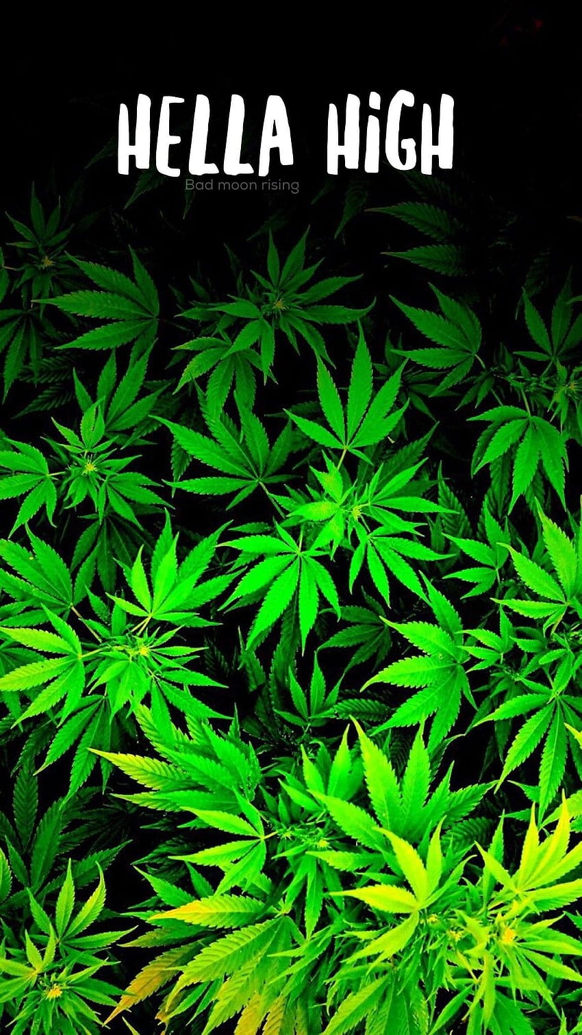 Hella high, iPhone backgrounds Stoner marijuana, stoner girl HD phone wallpaper