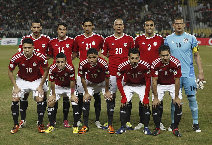Daftar Pemain dan Skuad Maroko, egypt national football team HD wallpaper