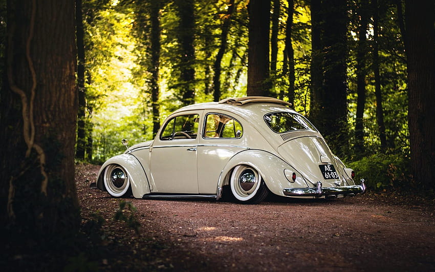 Volkswagen Beetle 4 HD тапет