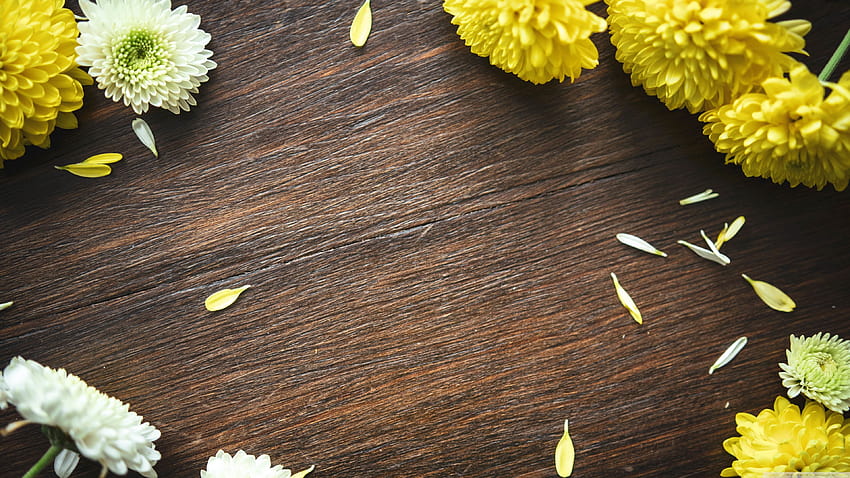 Herbst-Mamma-Blumen-Rahmen, Holz-Ultra-Hintergründe, Frühlingsblumen auf Holz HD-Hintergrundbild
