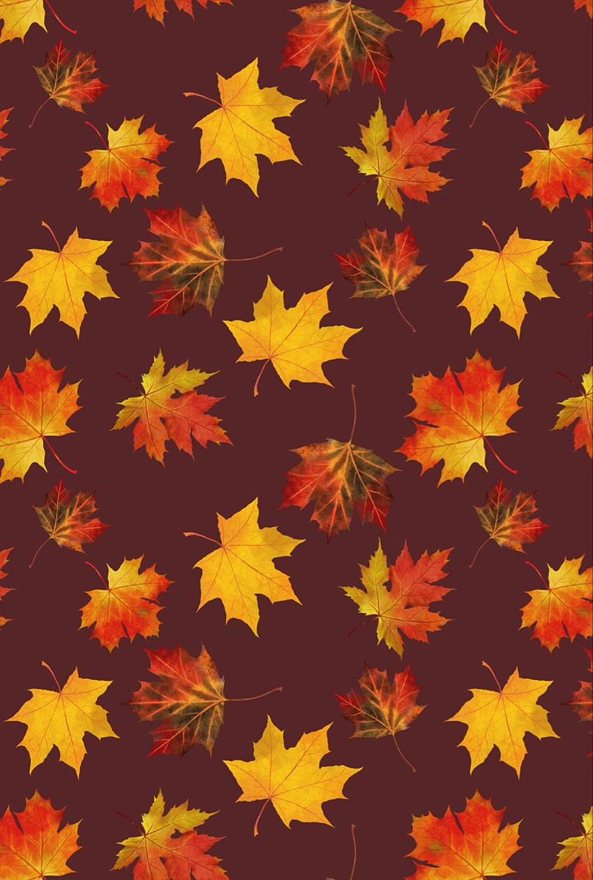 秋のデジタル ペーパー、秋の水彩画の森の森の赤とオレンジの葉、花、カボチャのデジタル ペーパー パック 12 インチ x 12 インチの JPG ファイル DIY、オレンジ レッド ハロウィン HD電話の壁紙