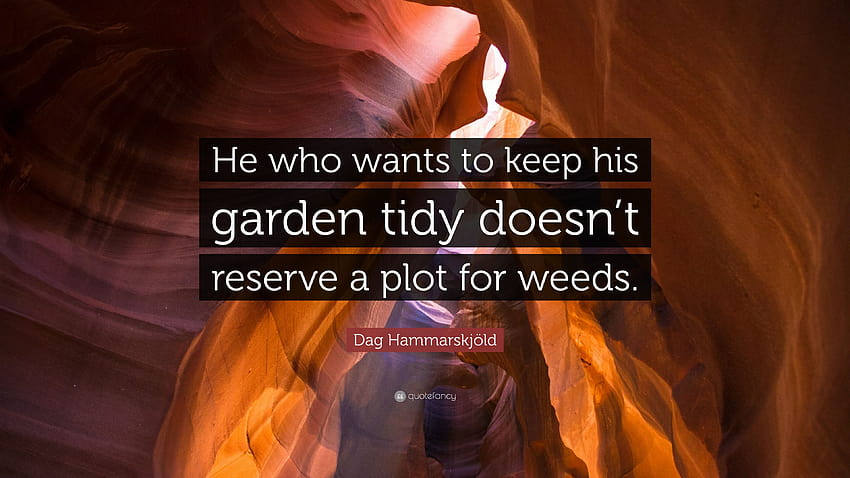 Cita de Dag Hammarskjöld: “Quien quiere mantener su jardín ordenado no reserva un terreno para las malas hierbas”. fondo de pantalla