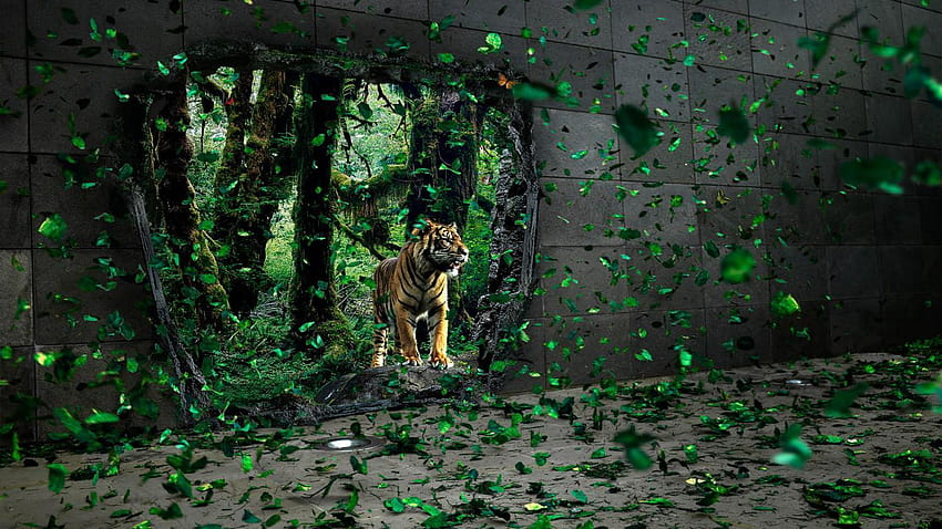 Facebook Covers For Women Tiger In House, new fb cover HD wallpaper