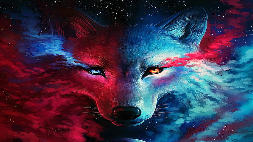 Wolves elemental wolf HD wallpaper  Pxfuel