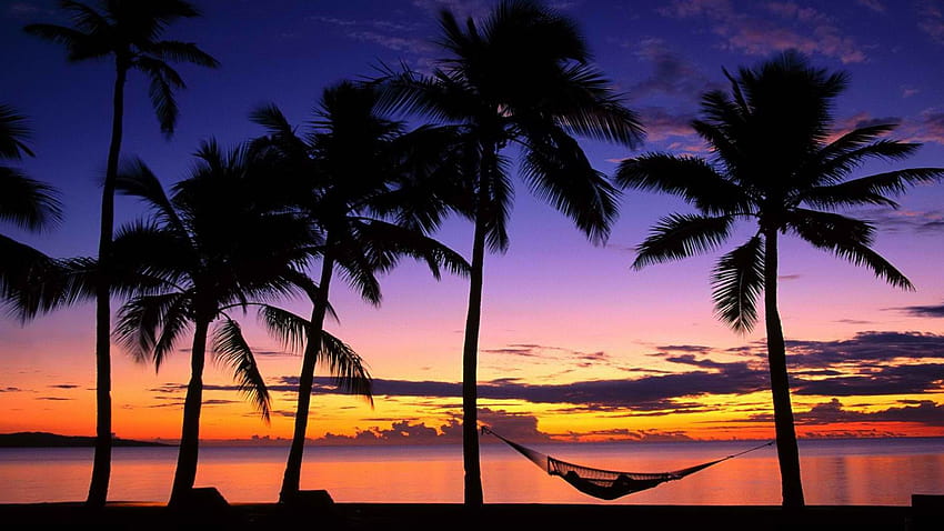 Tropical beach at sunset and palm hammocks, tropical relax HD wallpaper ...
