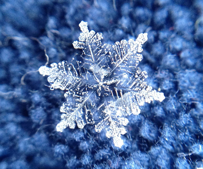 Macro iPhone of snowflakes from a Midwest snowstorm – Tara HD wallpaper