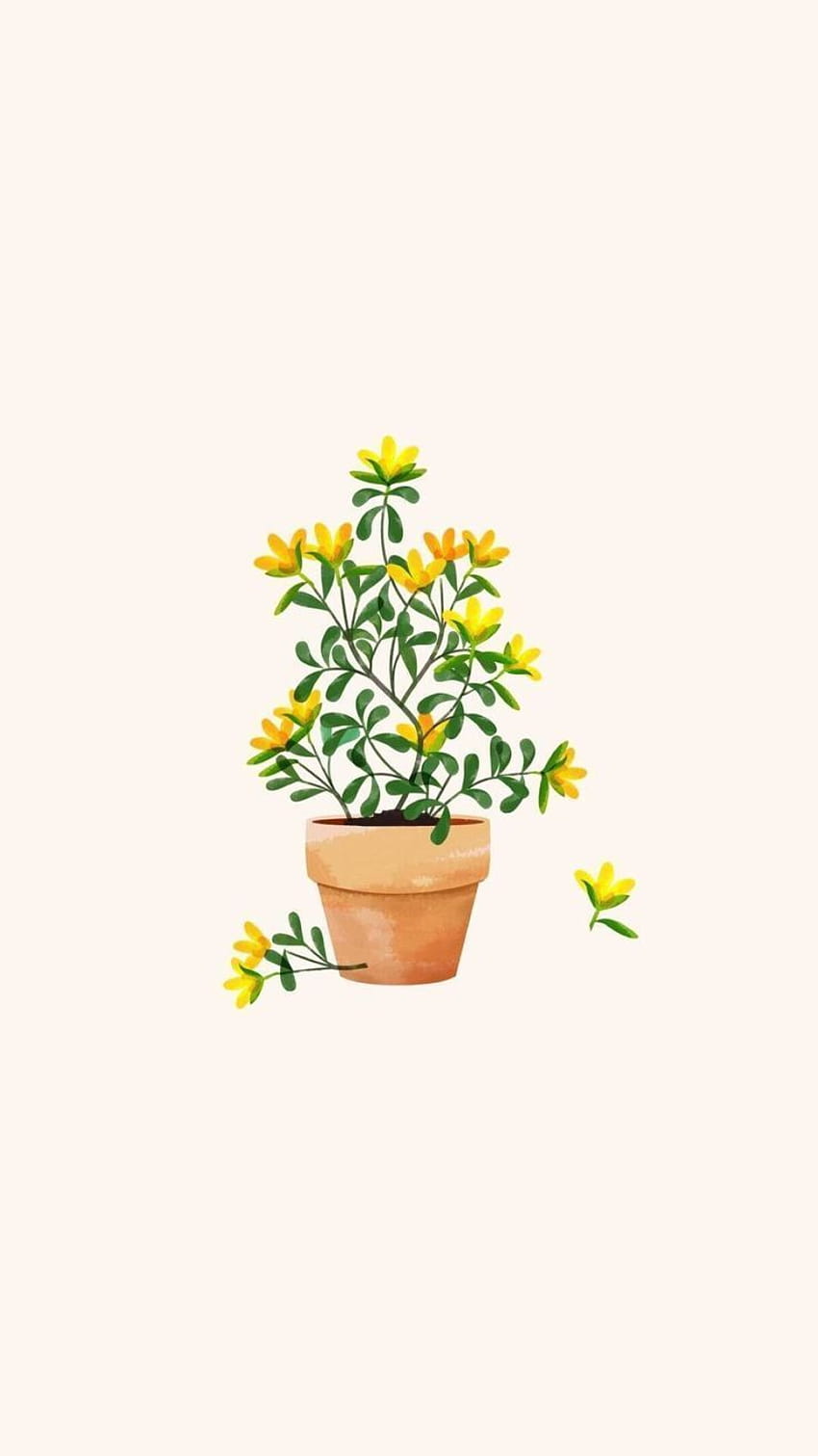 plants in 2020, cute aesthetic plant HD phone wallpaper