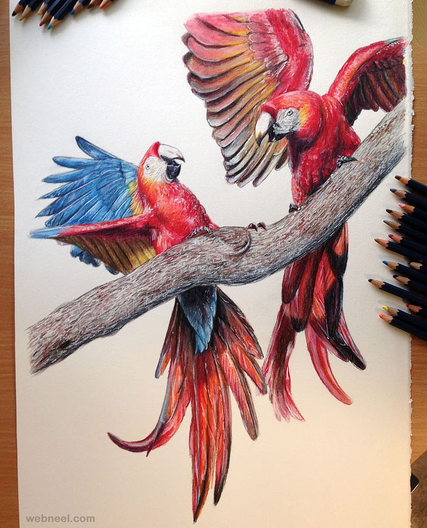 15 Beautiful Color Pencil Drawings by Elcy Faddoul