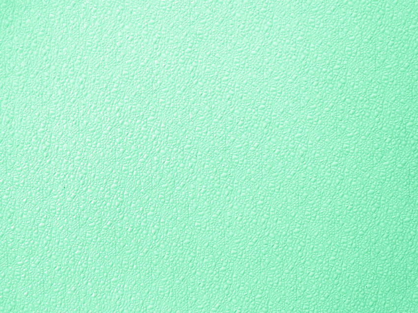 Mint Color Backgrounds Bumpy mint green plastic [3000x2250] for your , Mobile & Tablet HD wallpaper