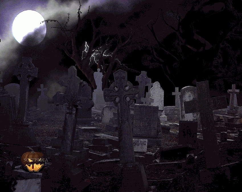 Animated Halloween Group, gray halloween HD wallpaper